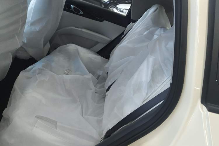 Used Geely Galaxy Geome 2026 Model 310km Youth Edition Left Rear Seat