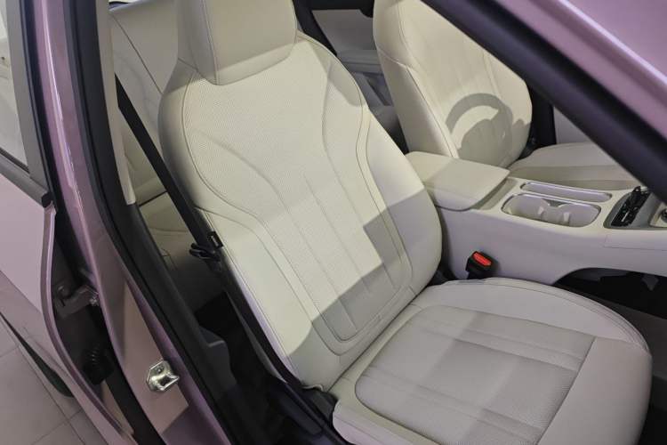 Used Geely Galaxy Geome 2026 Model 310km Dream Edition Right Front Seat