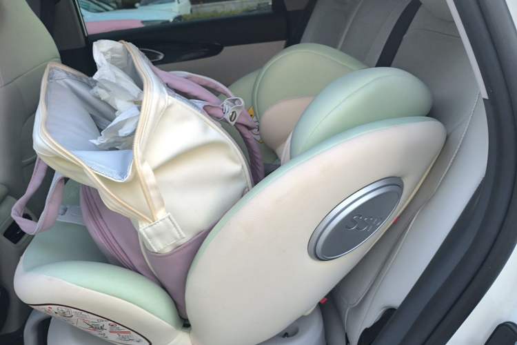 Used Geely Galaxy Geome 2026 Model 310km Dream Edition Left Rear Seat