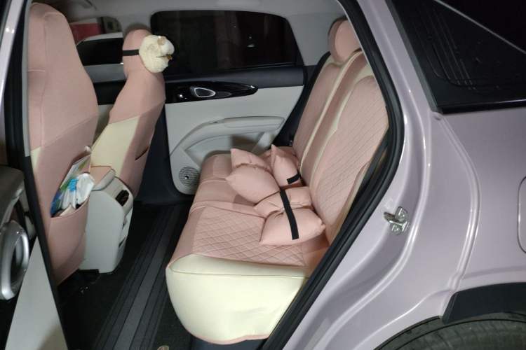 Used Geely Galaxy Geome 2026 Model 410km Exploration Edition Left Rear Seat