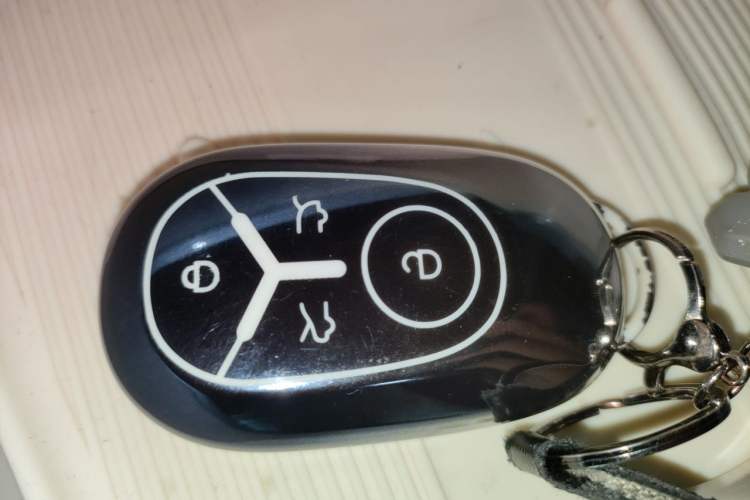 Used Geely Galaxy Geome 2026 Model 410km Exploration Edition Vehicle Key