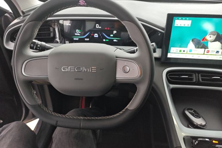 Used Geely Galaxy Geome 2026 Model 310km Youth Edition Center Console
