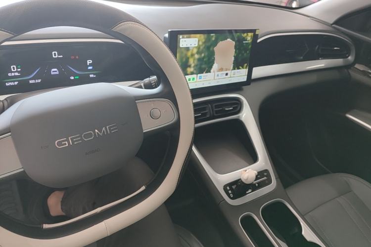 Used Geely Galaxy Geome 2026 Model 410km Carefree Edition Center Console