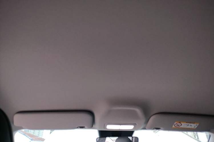 Used Geely Galaxy Geome 2026 Model 310km Youth Edition Headliner