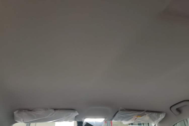 Used Geely Galaxy Geome 2026 Model 310km Youth Edition Headliner