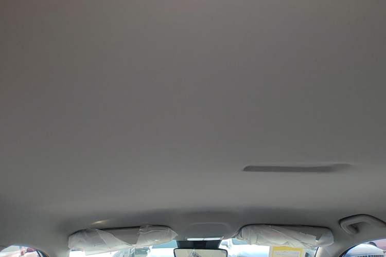 Used Geely Galaxy Geome 2026 Model 310km Youth Edition Headliner