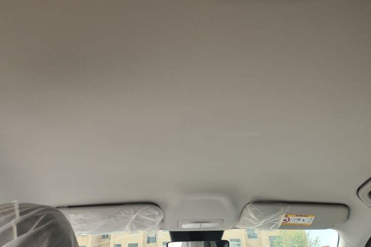 Used Geely Galaxy Geome 2026 Model 310km Youth Edition Headliner