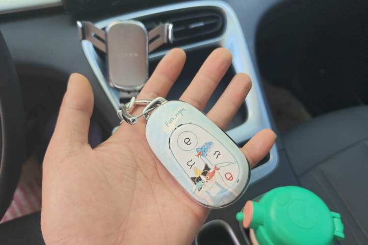 Used Geely Galaxy Geome 2026 Model 310km Youth Edition Interior 1