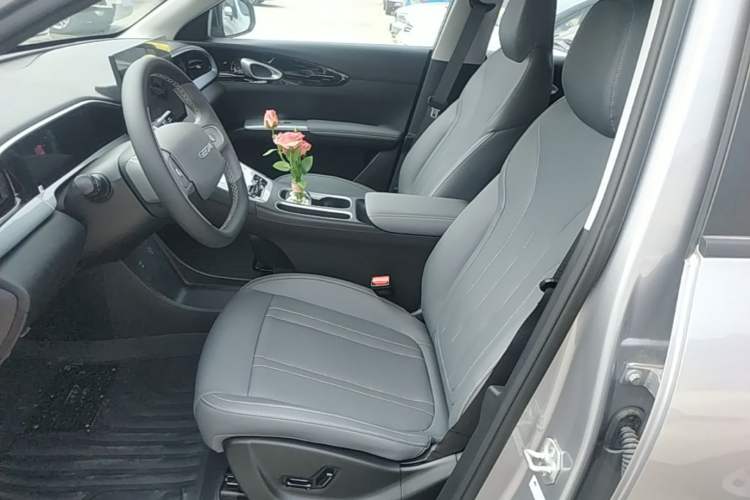 Used Geely Galaxy Geome 2026 Model 310km Dream Edition Left Front Seat