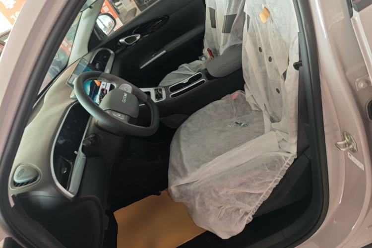Used Geely Galaxy Geome 2026 Model 310km Dream Edition Left Front Seat