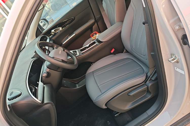 Used Geely Galaxy Geome 2026 Model 410km Carefree Edition Left Front Seat