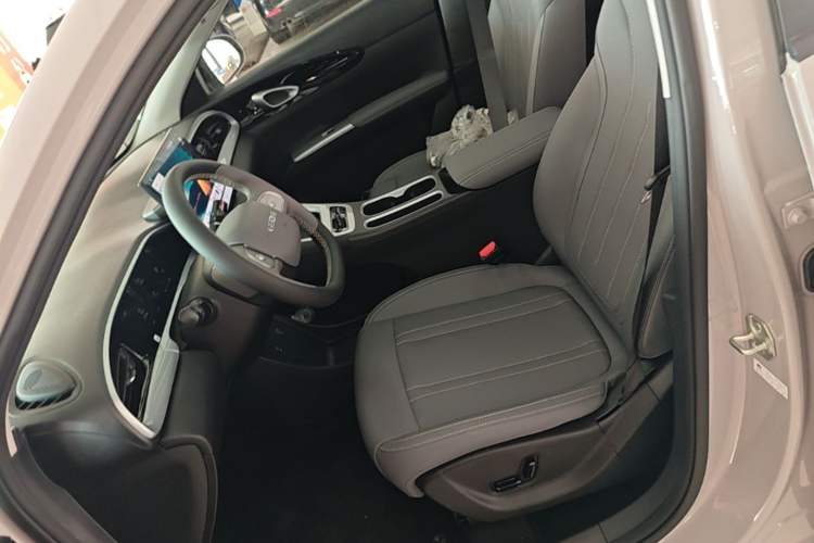 Used Geely Galaxy Geome 2026 Model 310km Dream Edition Left Front Seat