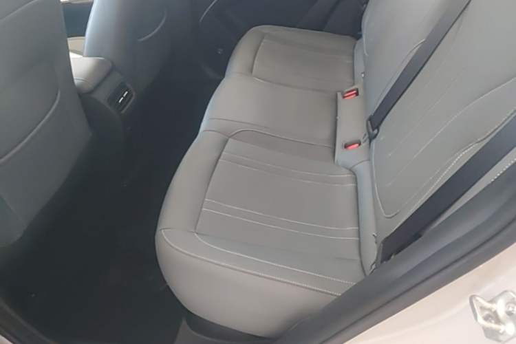 Used Geely Galaxy Geome 2026 Model 310km Dream Edition Left Rear Seat