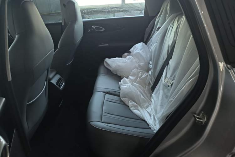 Used Geely Galaxy Geome 2026 Model 310km Dream Edition Left Rear Seat