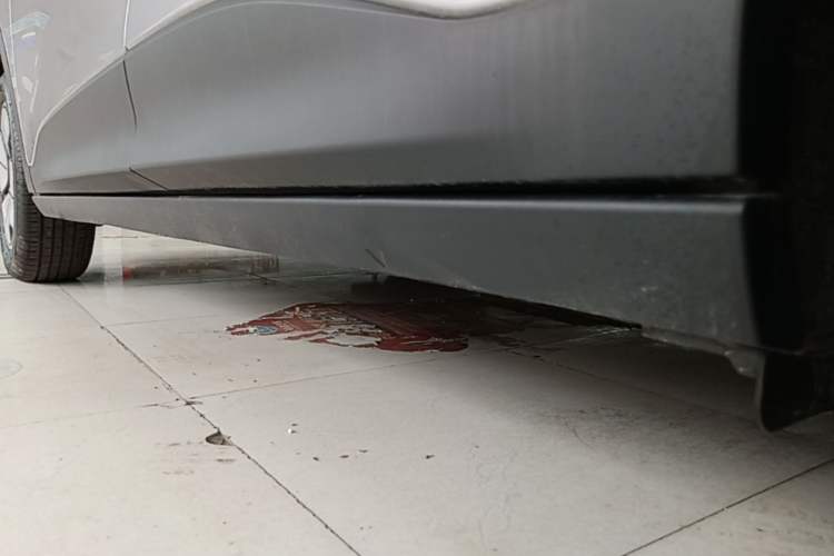 Used Geely Galaxy Geome 2026 Model 310km Youth Edition Left Side Sill