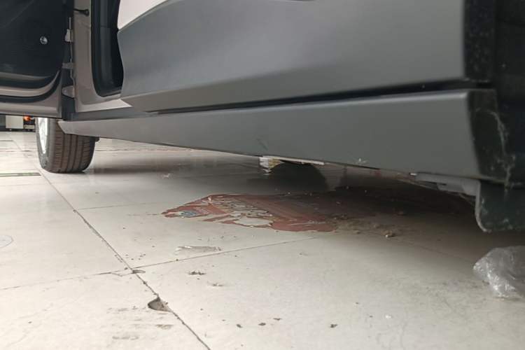 Used Geely Galaxy Geome 2026 Model 310km Youth Edition Left Side Sill