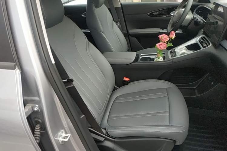 Used Geely Galaxy Geome 2026 Model 310km Dream Edition Right Front Seat