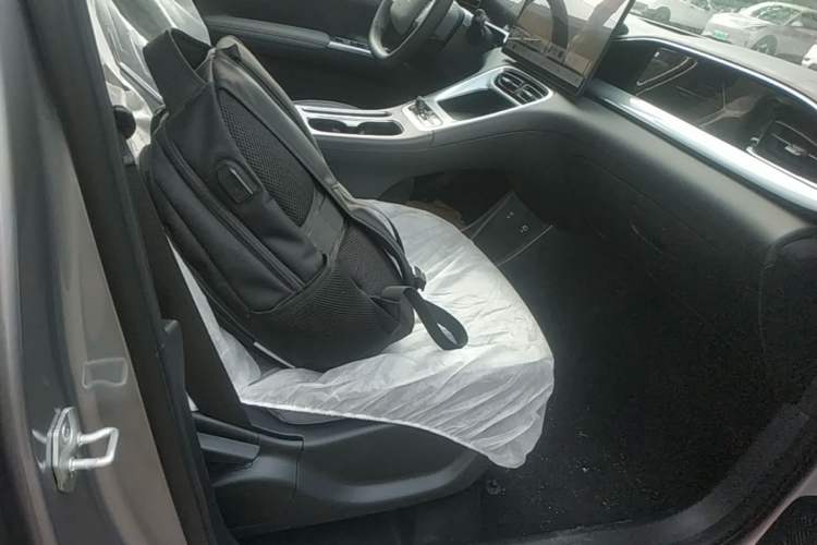 Used Geely Galaxy Geome 2026 Model 310km Dream Edition Right Front Seat