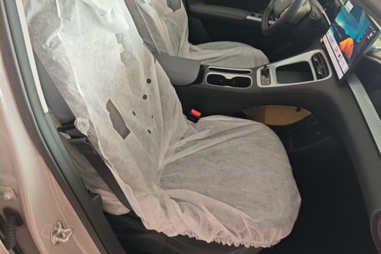 Used Geely Galaxy Geome 2026 Model 310km Dream Edition Right Front Seat