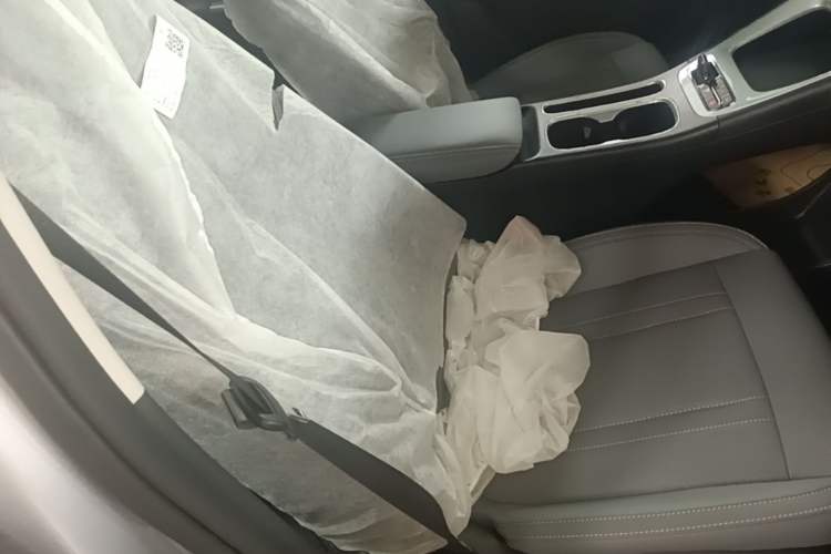 Used Geely Galaxy Geome 2026 Model 310km Youth Edition Right Front Seat