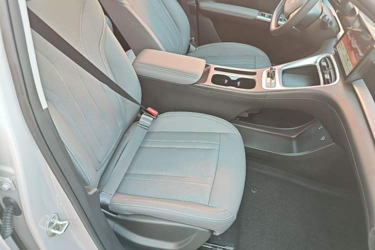 Used Geely Galaxy Geome 2026 Model 410km Carefree Edition Right Front Seat