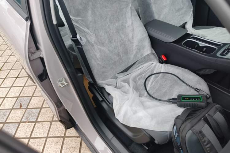 Used Geely Galaxy Geome 2026 Model 310km Dream Edition Right Front Seat