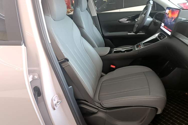 Used Geely Galaxy Geome 2026 Model 310km Dream Edition Right Front Seat