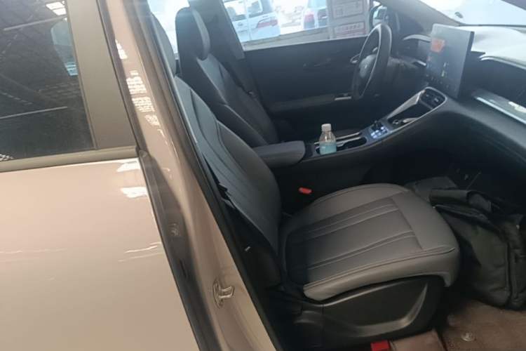 Used Geely Galaxy Geome 2026 Model 410km Carefree Edition Right Front Seat