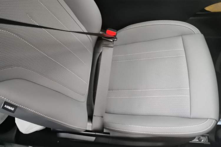 Used Geely Galaxy Geome 2026 Model 310km Dream Edition Right Front Seat