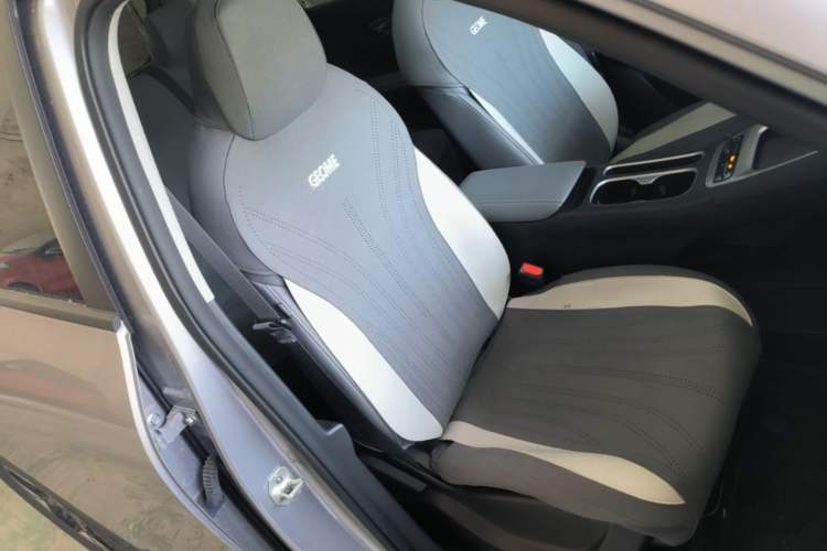 Used Geely Galaxy Geome 2026 Model 310km Dream Edition Right Front Seat