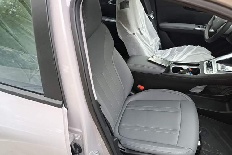 Used Geely Galaxy Geome 2026 Model 310km Youth Edition Right Front Seat
