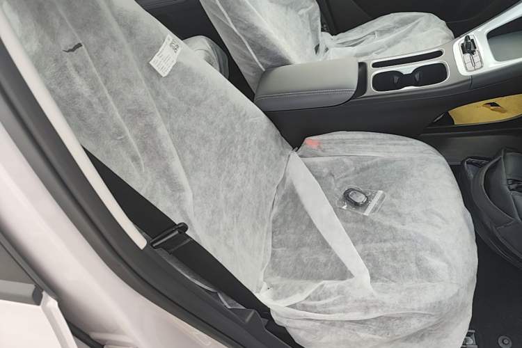 Used Geely Galaxy Geome 2026 Model 310km Dream Edition Right Front Seat