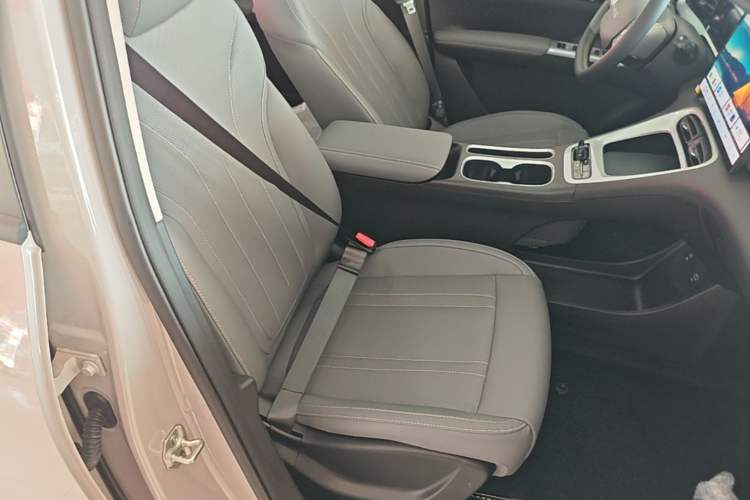 Used Geely Galaxy Geome 2026 Model 310km Dream Edition Right Front Seat