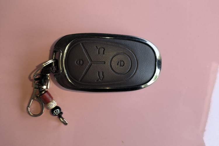 Used Geely Galaxy Geome 2026 Model 310km Dream Edition Vehicle Key
