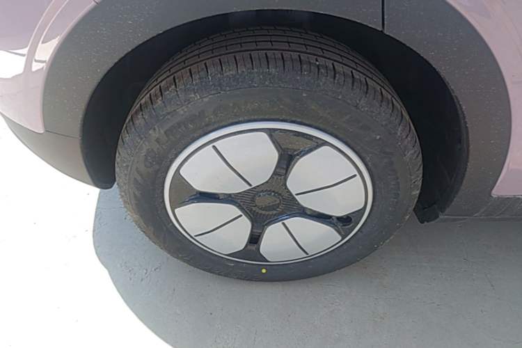 Used Geely Galaxy Geome 2026 Model 310km Youth Edition Exterior 5