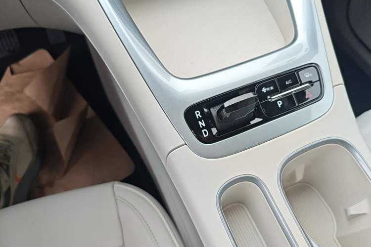 Used Geely Galaxy Geome 2026 410km Aspiration Edition Gear Lever
