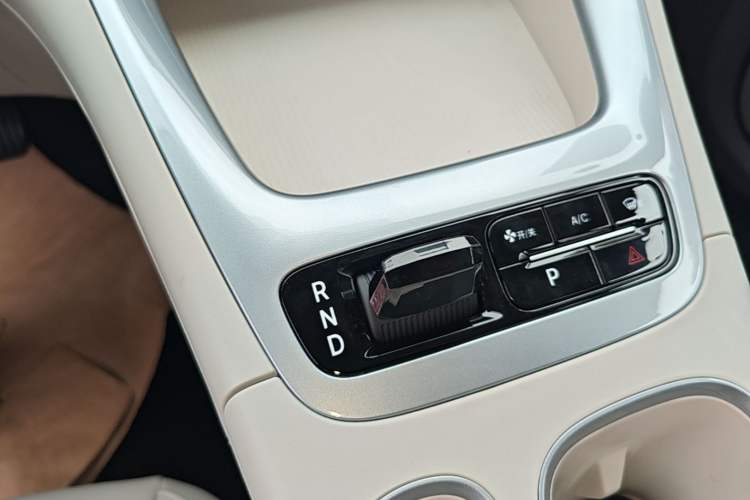 Used Geely Galaxy Geome 2026 410km Aspiration Edition Gear Lever