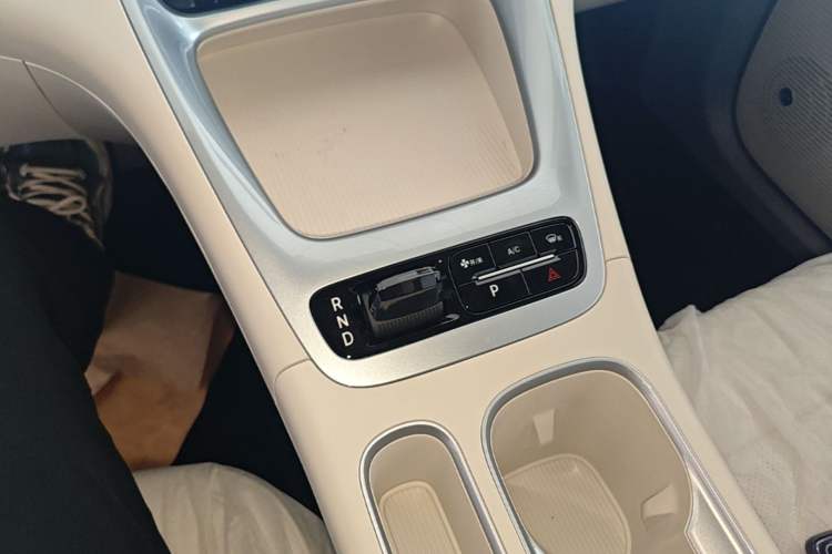 Used Geely Galaxy Geome 2026 310km Aspiration Edition Gear Lever