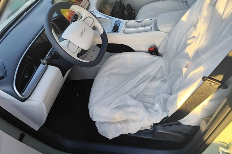 Used Geely Galaxy Geome 2026 Model 410km Freedom Edition Left Front Seat