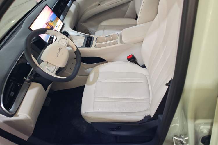 Used Geely Galaxy Geome 2026 Model 310km Dream Edition Left Front Seat