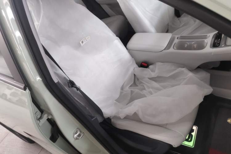 Used Geely Galaxy Geome 2026 Model 310km Dream Edition Right Front Seat