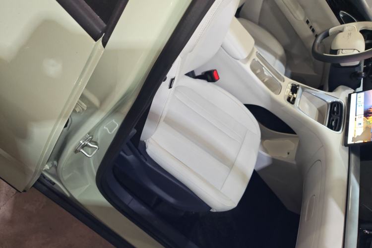 Used Geely Galaxy Geome 2026 Model 310km Dream Edition Right Front Seat