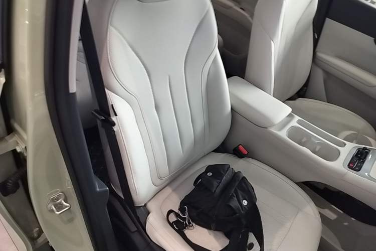 Used Geely Galaxy Geome 2026 Model 410km Exploration Edition Right Front Seat