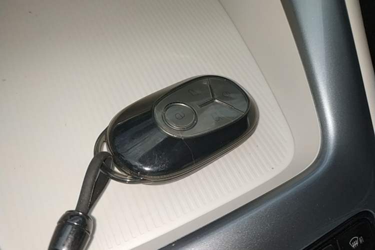 Used Geely Galaxy Geome 2026 Model 310km Dream Edition Vehicle Key