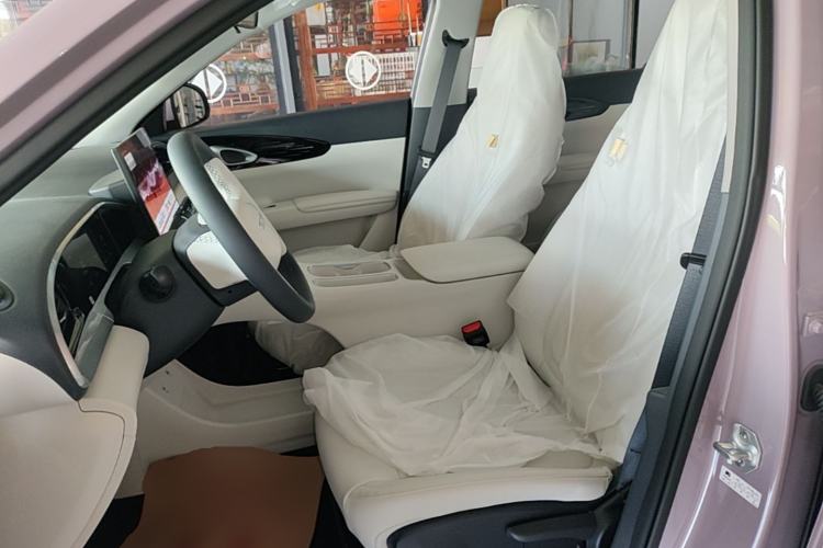 Used Geely Galaxy Geome 2026 Model 410km Freedom Edition Left Front Seat