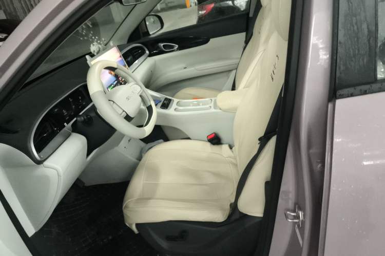 Used Geely Galaxy Geome 2026 Model 310km Dream Edition Left Front Seat