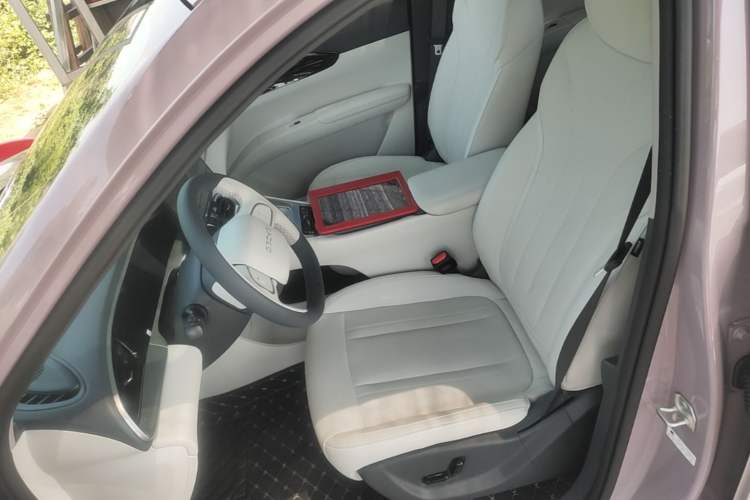 Used Geely Galaxy Geome 2026 Model 310km Dream Edition Left Front Seat