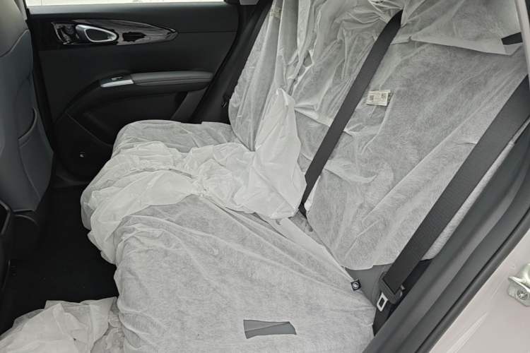 Used Geely Galaxy Geome 2026 Model 310km Youth Edition Left Rear Seat