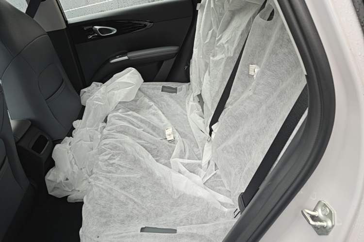 Used Geely Galaxy Geome 2026 Model 310km Youth Edition Left Rear Seat