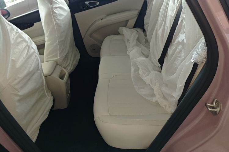 Used Geely Galaxy Geome 2026 Model 310km Youth Edition Left Rear Seat